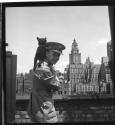 [Beaumont Newhall with black cat in New York City]