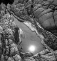Tide pool, Pt. Lobos