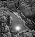 Tide pool, Pt. Lobos