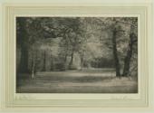 In the New Forest