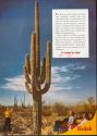 Advertisement for Kodacolor, Kodachrome and Kodak Ektachrome Film