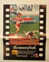 Advertisement for Kodacolor VR 400 Film