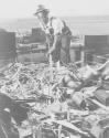 Production: BT-13A ("Valiant") Basic Trainers. Scrap pile being sorted at Vultee's Downey, Calif. plant. At the Downey plant is made the BT-13A ("Valiant") basic trainer - a fast sturdy ship powered by a Pratt & Whitney Wasp engine.