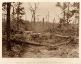 Battlefield of New Hope Church GA. No. 2