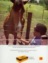 Advertisement for Kodak Film