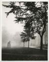 [Cornell University Campus, Statue of A.D. White (1st President of Cornell) on the Arts Quadrangle]