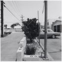 Landscape, Los Angeles