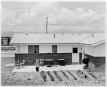 Tract house and vegetable garden, Longmont, Colorado