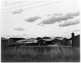 Tract houses, Longmont, Colorado
