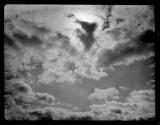 Cloud # 8, 1885
