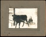 [Calf pulling boy in sled]