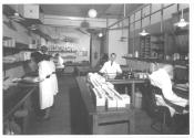 Fulham -35 mm Processing Room