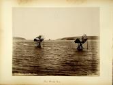The Black Sea