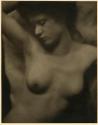 Torso
