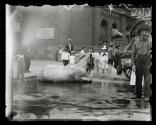 Presbyterian Hospital Horse With Heat Prostration 70th Madison Ave