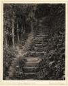Winchelsea: Steps to Queen Elizabeth's Well