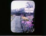 [Untitled]