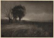 [Landscape with clump of trees]
