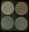 [Photomicrograph of Omnicolore and Warner-Powrie screens]