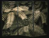 Leaves, Owens Valley, California