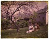 [Two women under a Cherry Tree]