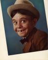 Alfalfa