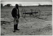 [Man in field, horse rake]