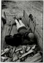 [Man and dog asleep in wagon loaded with wood]