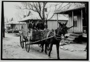 [Two people in mule-drawn cart on road]
