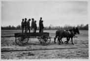 Boys in the back of a horse [sic] cart