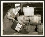 Frozen Food for the Fighting Forces. Mildred Harris shows how six baskets of beets, weighing 300 pounds, have been concentrated in 17-pound tin by dehydration. This shipping of food compactly saves space and adds to the quantity of supplies which can be sent in one shipment.