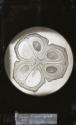 Trans-section of an ovary