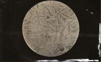 [Photomicrograph]