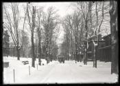 Livingston Park