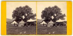 Mount Carmel