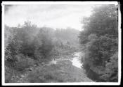 [Creek flowing through Sleepy Hollow, Tarrytown, N.Y.]