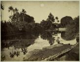 At Lusas Bay