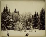 [Landscape with snow]