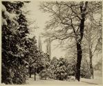Snow Scene