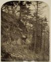 [Path in the woods with grotto]