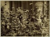 [Conservatory]