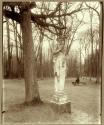 Versailles, parc