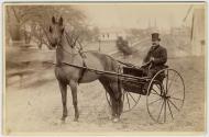 [Man seated in horse-drawn sulky, Clifford Avenue (looking east towards Holy Redeemer Church), Rochester N.Y.]