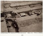 Volkswagen Beetles, Xian, Necropolis of Mt. Li, Shanxi Province, China (R8)