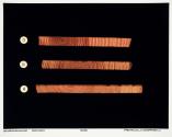 Dendrochronology