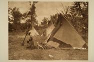 A Sarsi Camp