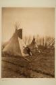 Cree Tipis