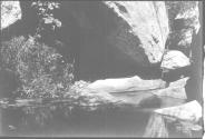 River Canyon with Bush