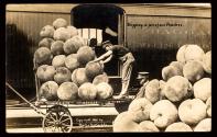 Shipping a few of our peaches