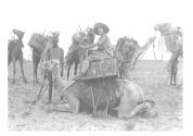 Mrs. Johnson Sitting on a Camel
